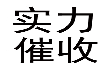 新干催数公司